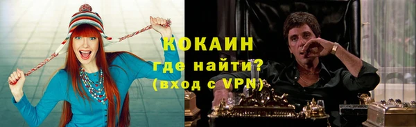 mdpv Бородино