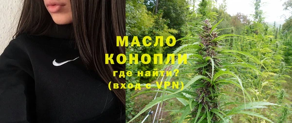 mdpv Бородино