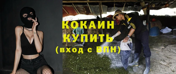 mdpv Бородино