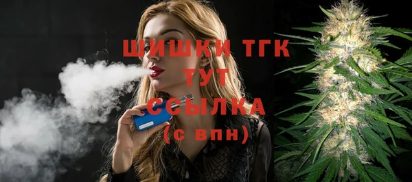 mdpv Бородино