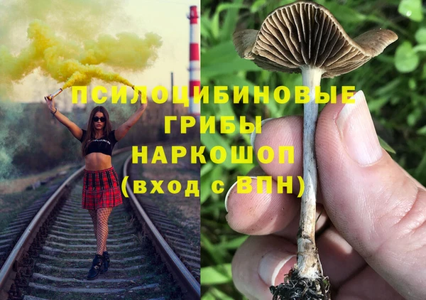 mdpv Бородино