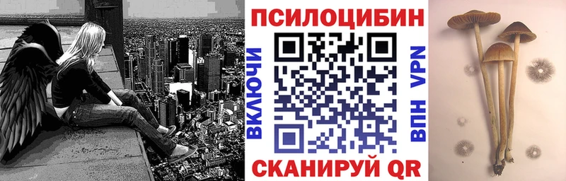 Псилоцибиновые грибы мицелий  Нижнекамск 